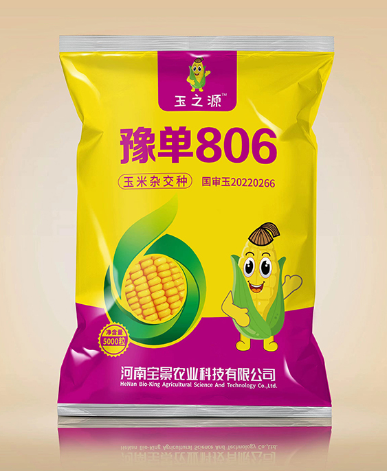豫单806（国审玉20220266）