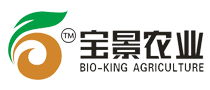 河南寶景農業科技有限公司,河南種業,玉米高產品種,高產玉米種子,偉育2號